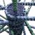 How Cloud Computing Levels the Playing Field for Small Businesses